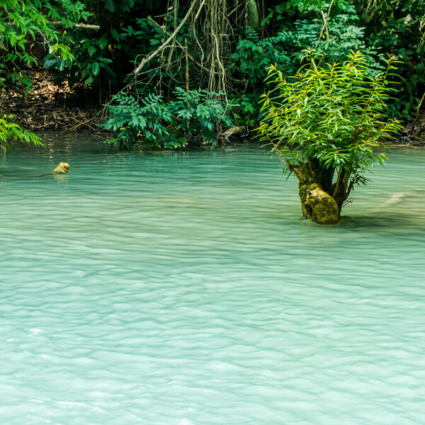 Tad Kwang Si (Xi) the biggest water fall land mark in Luang Prabang, Laos ,beautiful turquoise color water at tropical forest in north Lao. Suitable for use as a background or travel advertisement image, feeling relax with natural